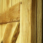 detail světlého dubového dřeva 
