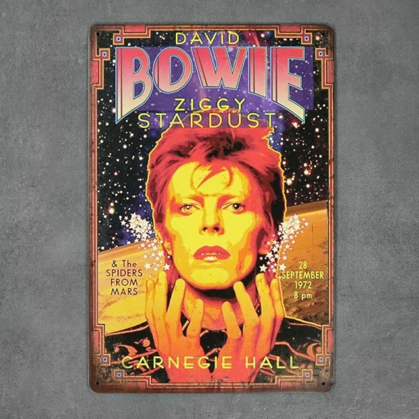 Kovová cedule David Bowie Ziggy