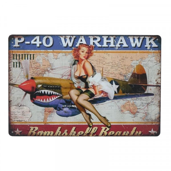 Kovová cedule P-40 Warhawk