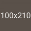 100x210