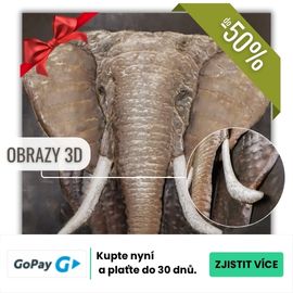 GoPay odložená platba 30 dní