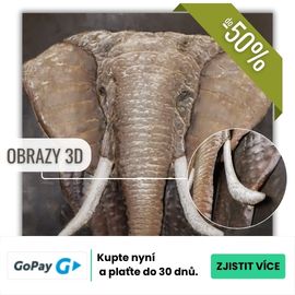 GoPay odložen&aacute; platba 30 dn&iacute;
